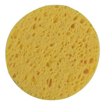 Front of individual sponge